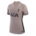 Tottenham Hotspur Brennan Johnson #22 3rd Trikot 2023-24 Kurzarm